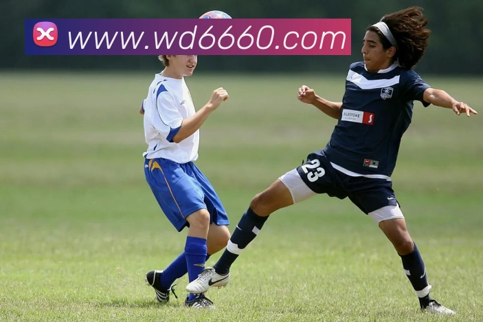 伟德体育APP 高清赛事图